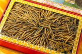 410245  Tibetan Cordyceps Gift Box